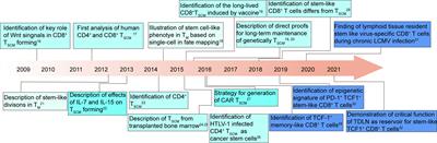 Stem-like T cells and niches: Implications in human health and disease